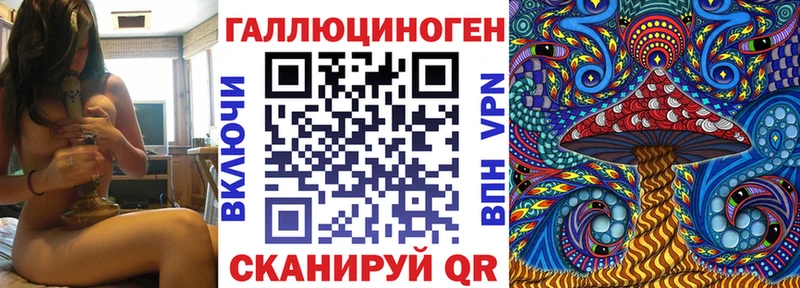 mega вход  Азнакаево  Галлюциногенные грибы мицелий 