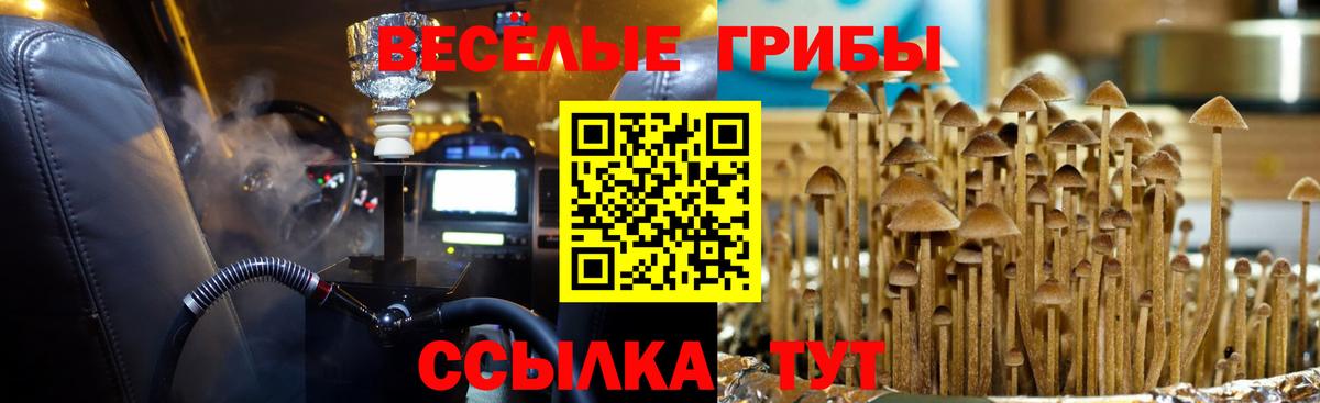 Псилоцибиновые грибы ЛСД Азнакаево